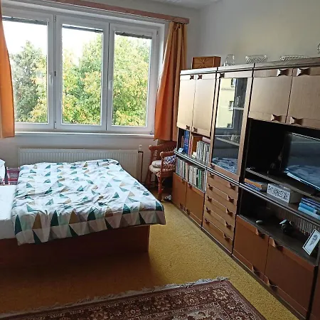 Apartman Zizkov * كوتنا هورا