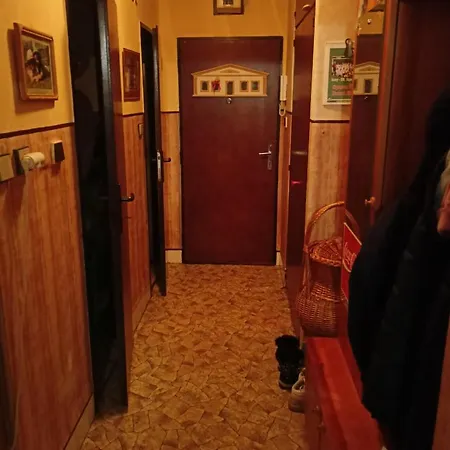 Apartman Zizkov كوتنا هورا